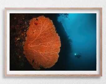 Gorgonian Sea Fan and Scuba Diver in the Ocean, Underwater Wildlife Photography Print, Raja Ampat