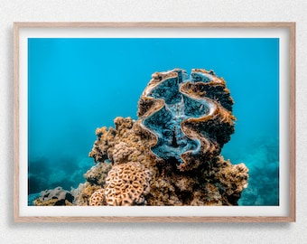 Almeja gigante descansando sobre un arrecife de coral en el océano azul. Impresión artística de fotografía submarina.