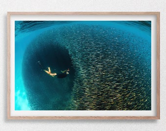 Buceador nadando en una enorme bola de cebo, fotografía submarina de vida silvestre y buceo.