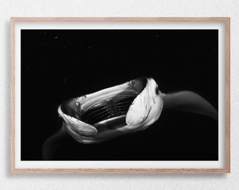Manta raya alimentándose de noche, fotografía submarina en blanco y negro, Maldivas