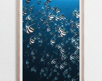 Bancos de peces de arrecife tropicales en el océano azul, impresión fotográfica de vida silvestre submarina, Maldivas