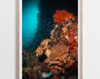 Arrecife de coral con peces bajo el agua, Raja Ampat, Indonesia. Impresión fotográfica de vida silvestre submarina.