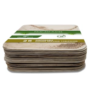 Palm Leaf Plates | 10 inch Square Disposable Plate | Natural Dinner Serving Tableware | Wedding Party Supplies | 25 Pack