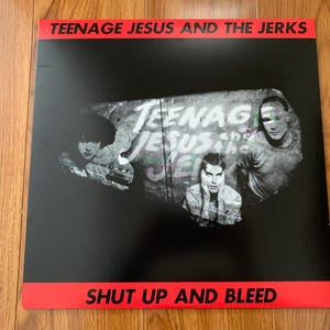 Teenage Jesus Jerks - Etsy