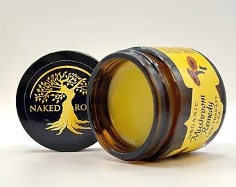 Organic Skin Care: Mushroom Remedy, Healing Mushroom and Herbal Salve/ Butter with Chaga and Reishi. Natural Skin Care and Deep Moisturizer