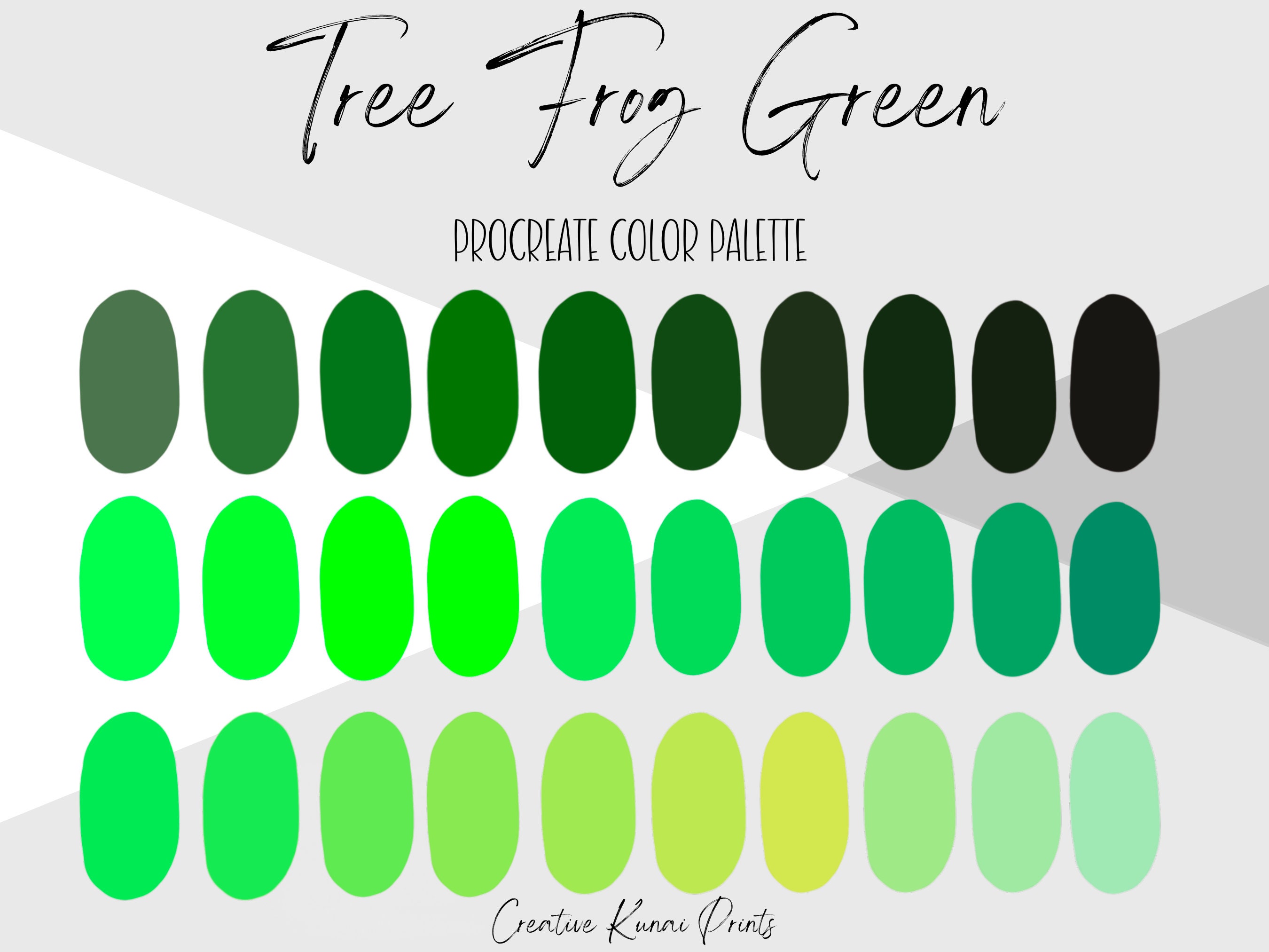 Tree Frog Green Procreate Palette Cartoon Frog Green Color Swatches