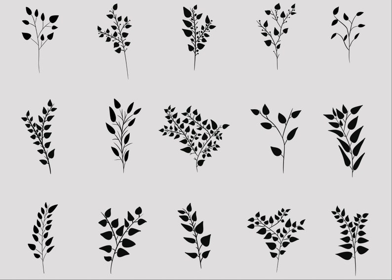 Branch Clipart, Botanical Svg, Wedding Clipart Digital Download - Etsy