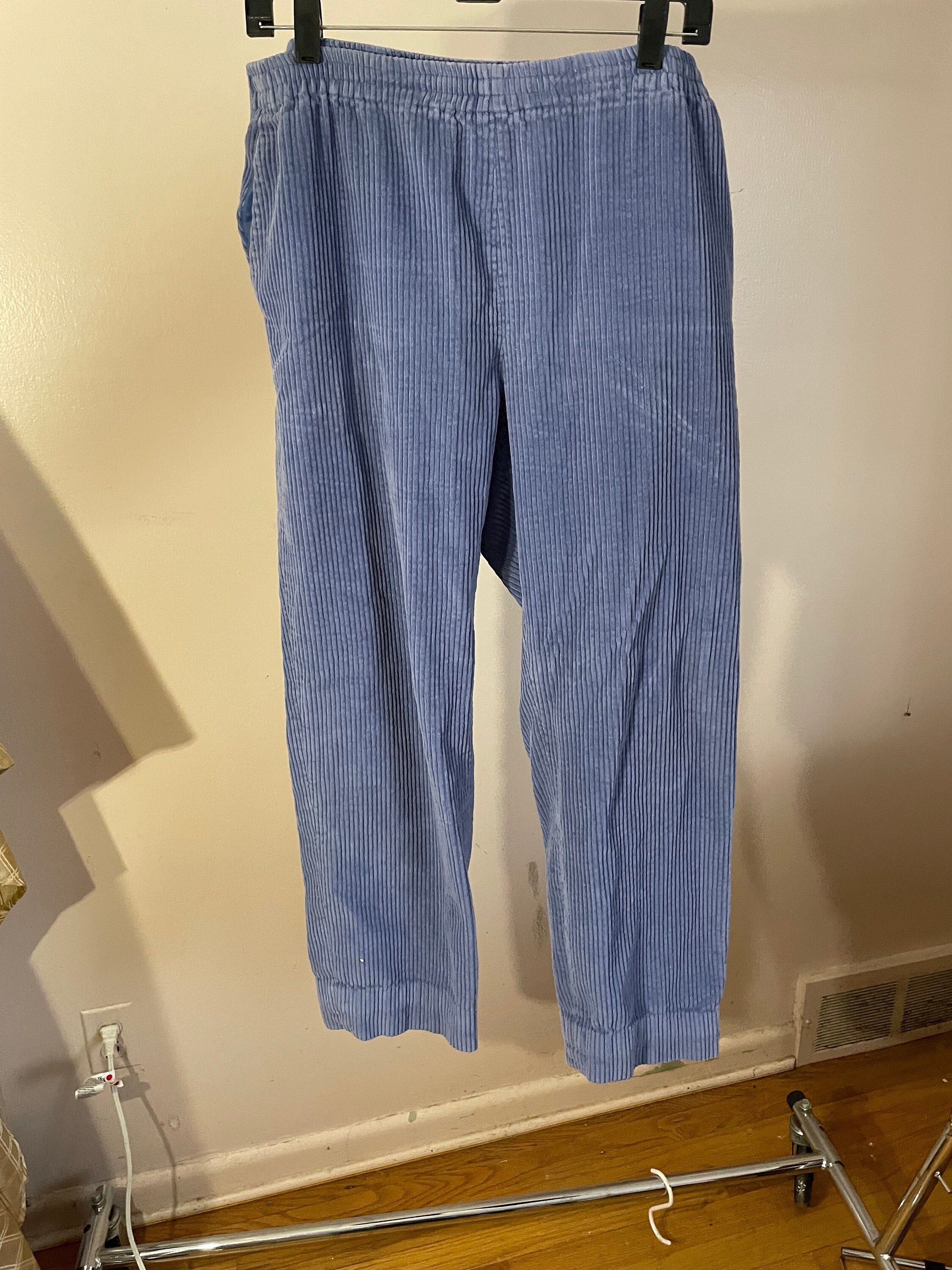 Appleseeds Blue Corduroy Pants Size 12 M 100 Cotton 2 Side Etsy Canada