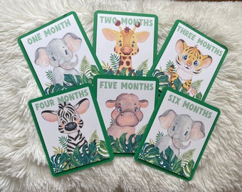 Safari Milestone Cards, Jungle Safari Milestone, Safari Baby Milestone, Baby Milestone Safari, Baby Milestone Jungle, Jungle Baby Milestone