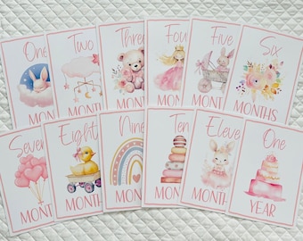 Baby Girl Milestone Cards: Watercolor Floral, 1-12 Months
