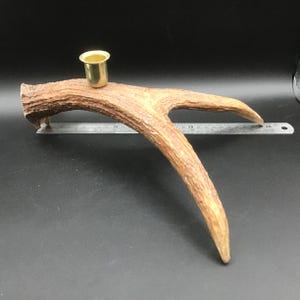 Real Moose Antler Candleholder/Candlestick. Old Bull Moose Antler. Decorative piece, Interior Design