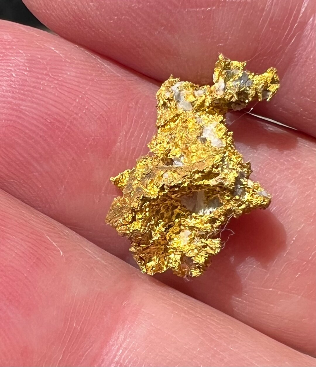 Crystalline Gold a Gold Nugget Specimen From Placerville CA. Etsy