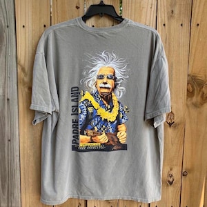 Pode incluir: Uma camiseta cinza com uma estampa gráfica de Albert Einstein vestindo uma camisa havaiana e segurando um ukulele. O texto "Padre Island" é impresso verticalmente do lado esquerdo do gráfico. O texto "A imaginação é mais importante do que o conhecimento" é impresso abaixo do gráfico.