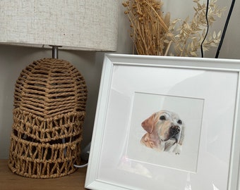 Miniatuur huisdierenportret in kleurpotlood verlies cadeau voor huisdieren
