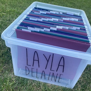 May include: A clear plastic storage bin with a purple label that says "LAYLA DELAINE". The bin is filled with hanging file folders labeled with different categories, including "Pregnancy", "Health Records", "Infants", "Daycare", "Toddler", "Kindergarten", "1st Grade", "2nd Grade", and "3rd Grade".