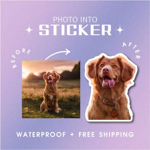 Autocollants photo personnalisés 2 pouces - Autocollants personnalisés pour le visage ou les animaux de compagnie, vinyle imperméable personnalisé, parfaits pour les cadeaux, les journaux, les ordinateurs portables