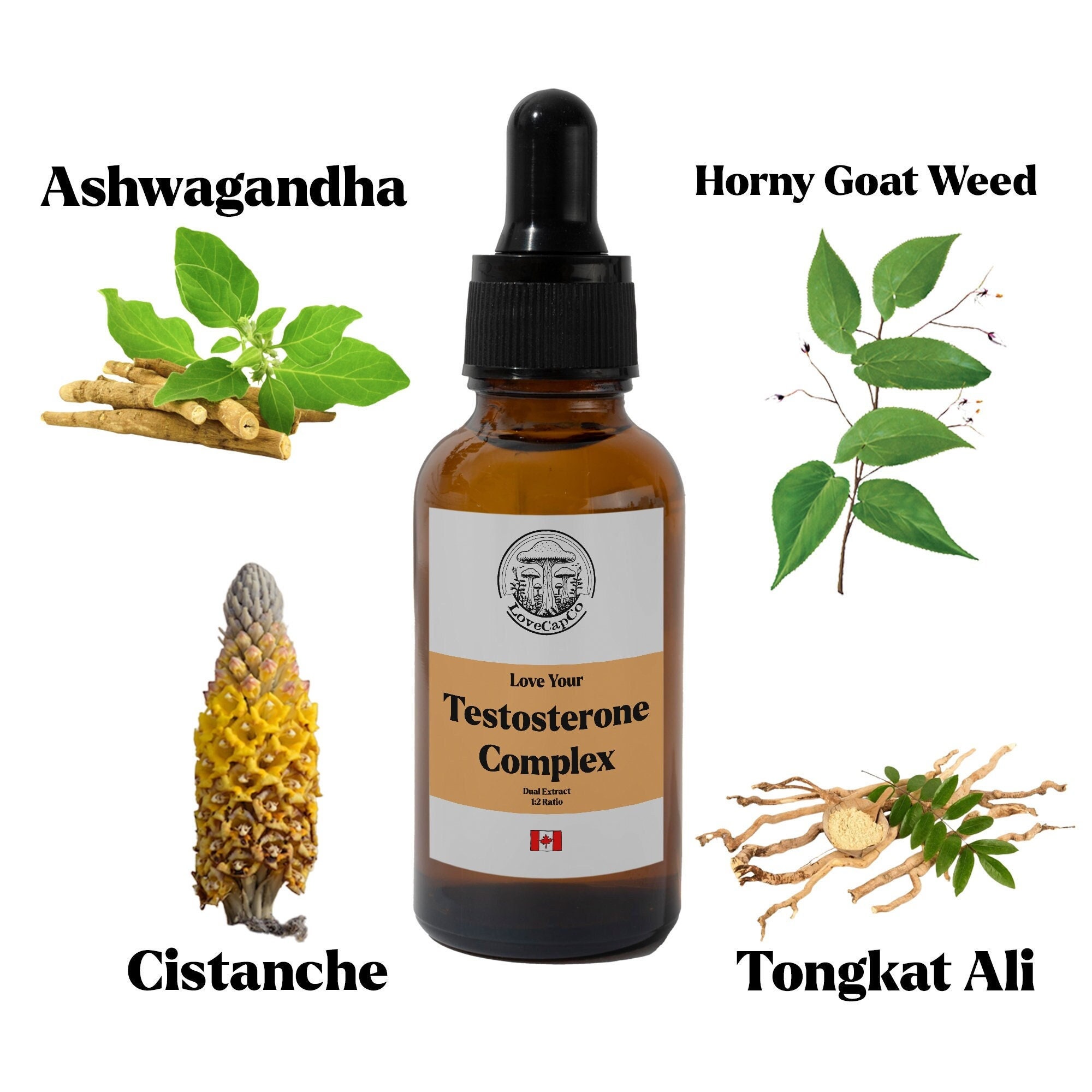Testosterone Herbal Tincture Tongkat Ali / Cistanche / Horny Etsy