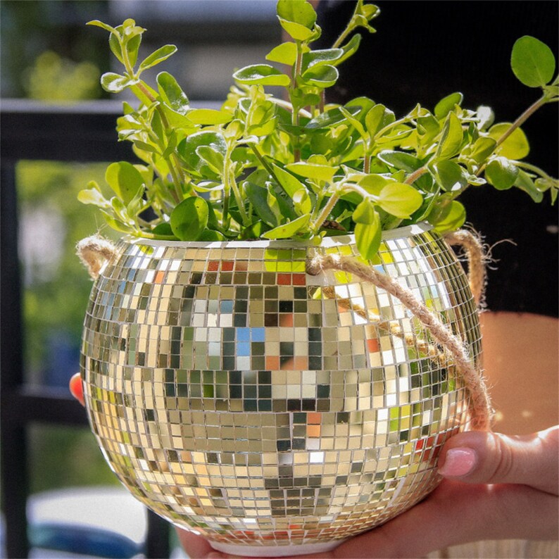 Disco Ball Hanging Flower Pot for Indoor Plantsdisco Ball Etsy