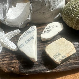 Rare Transferware Sea Pottery Shards: Scottish Beach Finds
