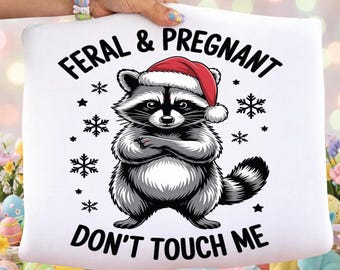 Verwilderde zwangere wasbeer kerst, png, babybuil, aanstaande moeder (digitale download)