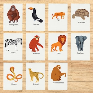 Printable Cards preschool Jungl animals Editable Montessori Cards Flash Cards Nomenclature FlashCards Editable Pdf