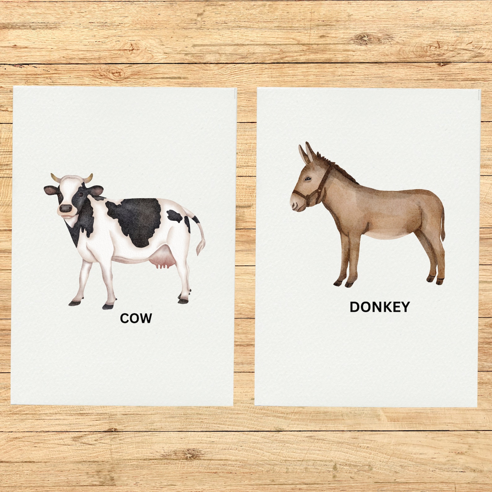 Editable Farm Animal Flash Cards, Montessori Printable (PDF) - Etsy