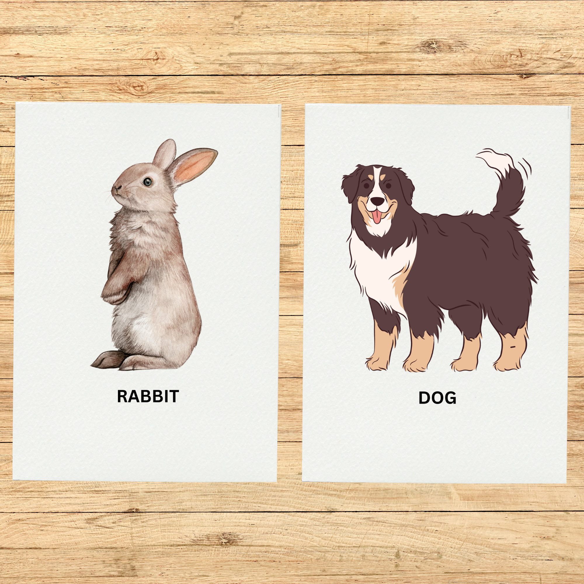 14 Editable Montessori Cards Flash Cards Nomenclature Flashcards PDF ...