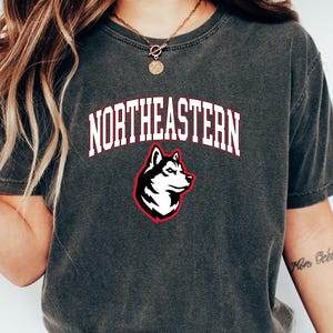 Comfort Colors Shirt, Northeastern Shirt, College Apparel, Northeastern Sweater, University Gift, Graduation Tee, Football Team Shirt