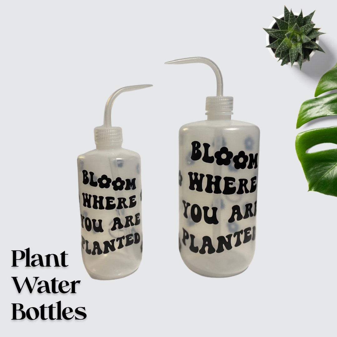 Plant Water Bottles Etsy