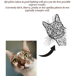 May include: A black and white line drawing of a cat looking to the right. The cat has large eyes and a surprised expression. The image is a digital illustration of a pet portrait.