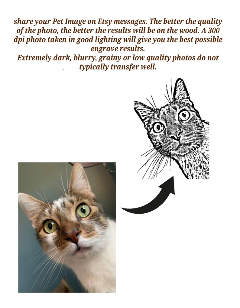 May include: A black and white line drawing of a cat looking to the right. The cat has large eyes and a surprised expression. The image is a digital illustration of a pet portrait.