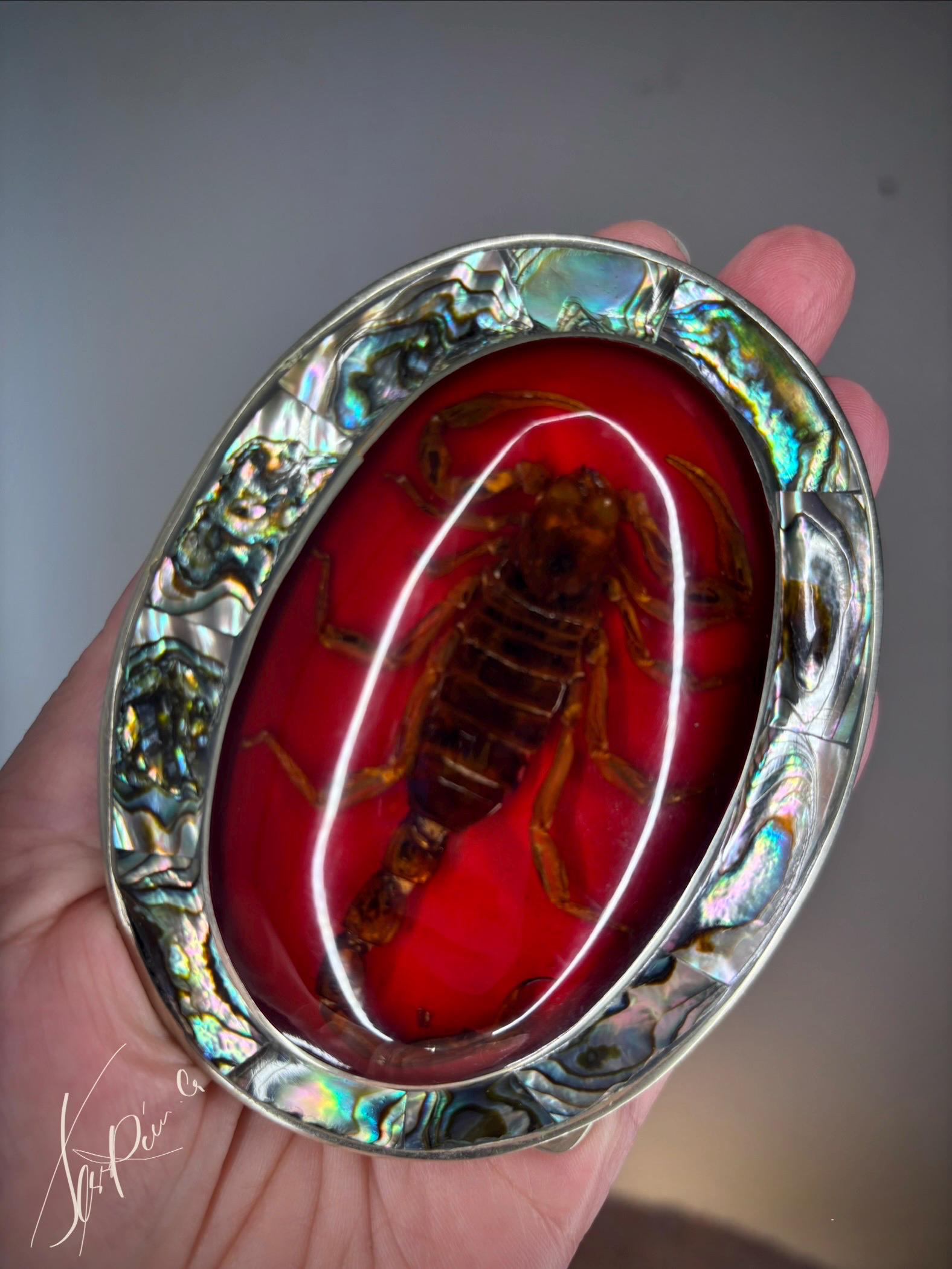 Scorpion in Resin Belt Buckle - Etsy