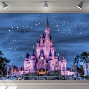 Custom Baby Shower Backdrop Disney Castle Backdrop Happy Birthday Party Decor Photography Girls  Banner
