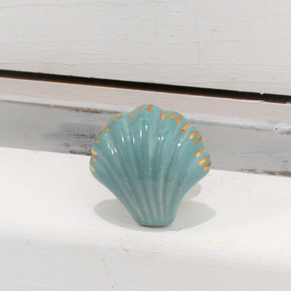 Seashell Knobs Etsy