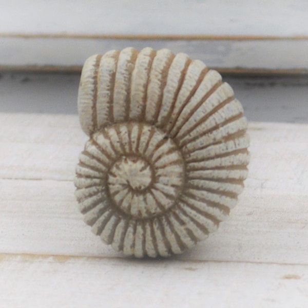 Conch Shell Knob, One Cabinet Furniture Drawer Pull, Beach Coastal Bathroom
