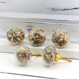 Glass Seashell Knob, Gold Ball of Seashells Drawer Pull, Glass Furniture Knob, Beach House Cabinet handle, Coastal Hardware, Seashell Knob