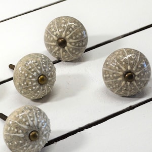 Urchin Seashell Knob, Beige Sea shell Cabinet Pull, Coastal Cabinet Handle,  Greige Urchin Furniture Knob, Beach House Cabinet Hardware