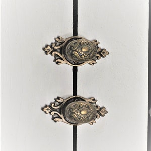 Antique Brass Oval Knob, Inscribed Oval Knob with Back Plate, Antique Gold Furniture Knob, Ornate Cabinet Hardware, Gold Cabinet Hardware