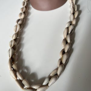 Shell Necklace 35cm or 15” long