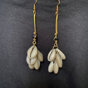 Shell Earrings