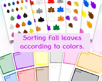 Preschool Autumn Leaves Color Sorting Activity, Printable Fall Sorting Mats, Homeschool Colours Learning PDF