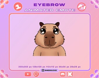 Animiertes Capybara-Emote | Lustiges Augenbrauen-GIF