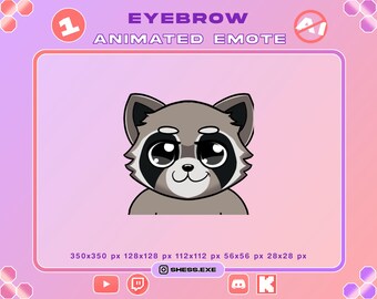 Animated Raccoon Emote | Funny Eyebrow GIF