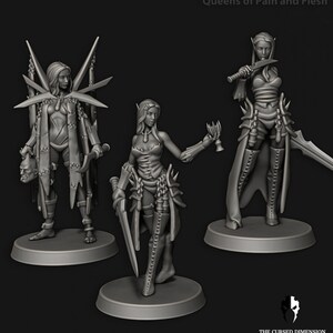 May include: Three miniature figures of female elves, each with a different pose and weapon. The figures are painted in a gray color and are standing on circular bases. The text "Queens of Pain and Flesh" is visible at the top of the image.