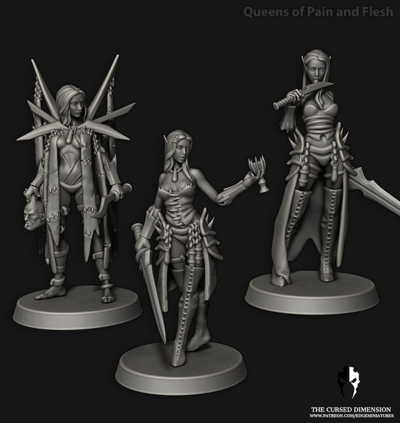 May include: Three miniature figures of female elves, each with a different pose and weapon. The figures are painted in a gray color and are standing on circular bases. The text "Queens of Pain and Flesh" is visible at the top of the image.