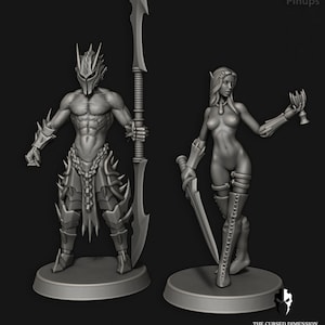 May include: Two miniature figures, one male and one female, posed in a dramatic fashion. The male figure is wearing armor and holding a spear, while the female figure is wearing a sword and a goblet. The figures are painted in a gray color scheme.