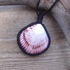 May include: A handcrafted seashell pendant necklace. The pendant features a white and pink seashell encased in a black macrame setting, suspended from a black cord. The necklace is displayed on a wooden surface.