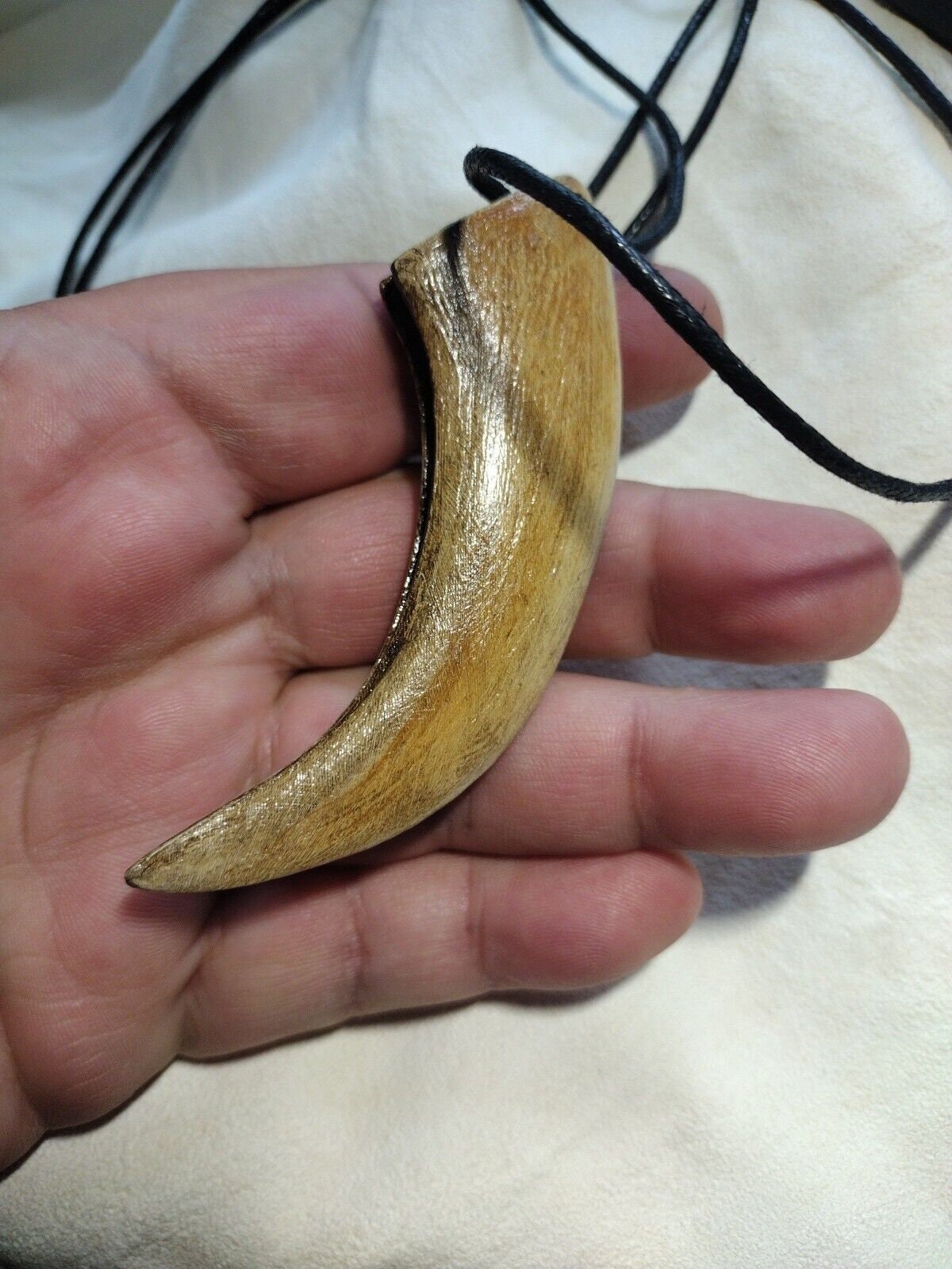 ネックレス・ペンダント Bone craft / three finger bear claw Grizzly Bear Claw 4 Inch Pendant Artist Concept Replica. - Etsy
