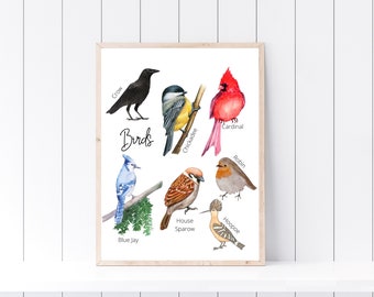 Bird Print, Nature Study, Homeschool Wall Decor, Bird Unit, Educational Print