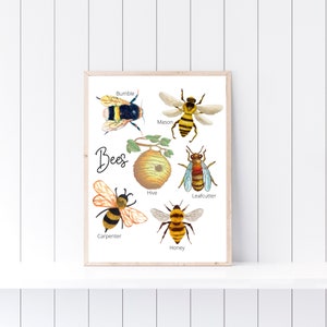 Bees Print, Bee Unit Study, Nature Post Educational Print, Homeschool Decor, Classroom Decor, Bee Decor